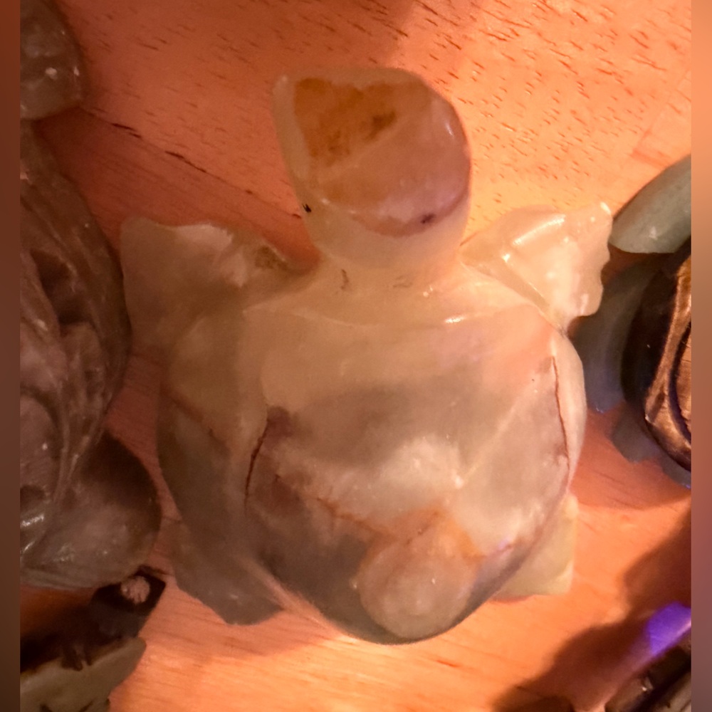 Natural Reflections Earthy Turtle Sculpture
